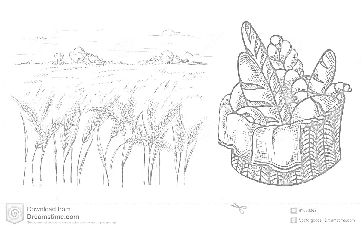 Раскраска Пшеничное поле и корзина с хлебом