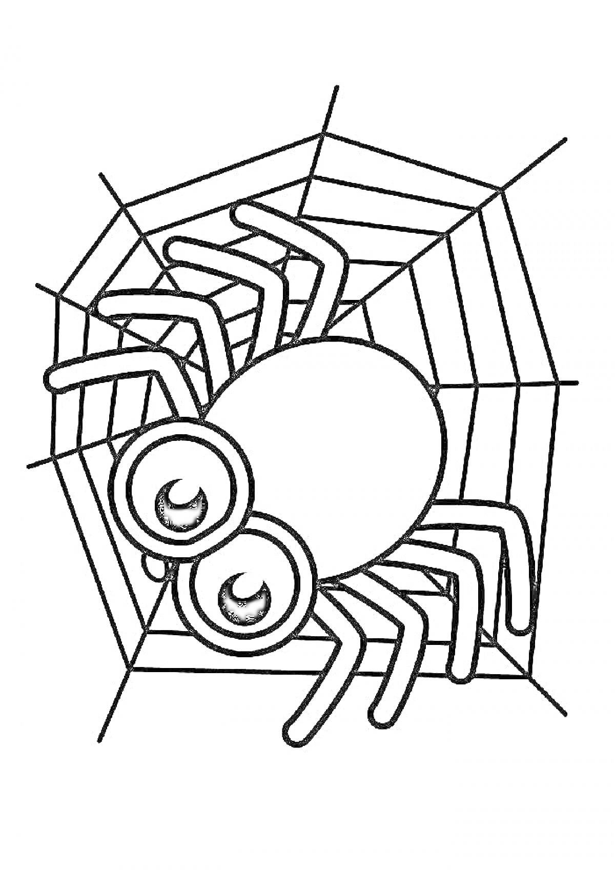 Раскраска Паук на паутине с большими глазами