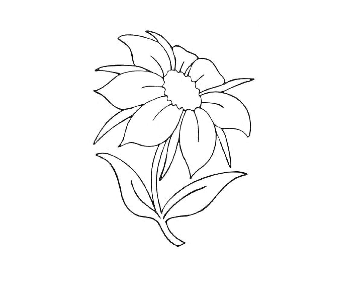На раскраске изображено: Аленький цветочек, Лепестки, Листья