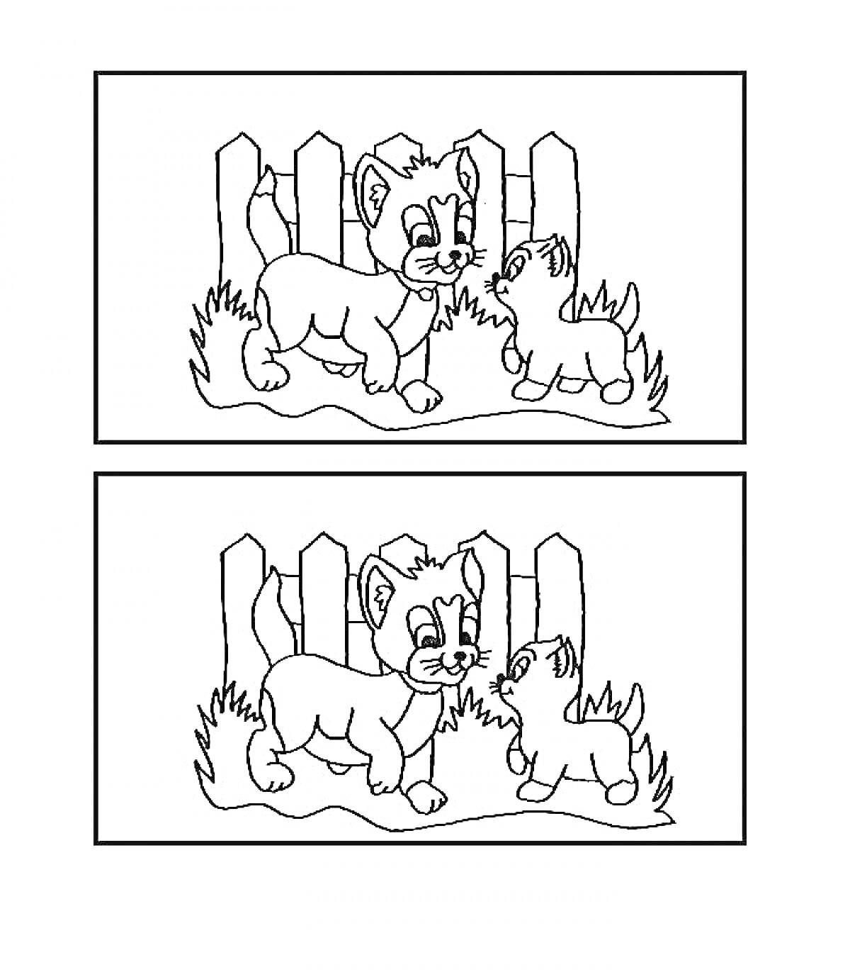 Раскраска Два котенка перед забором, один с нераскрашенной шеей