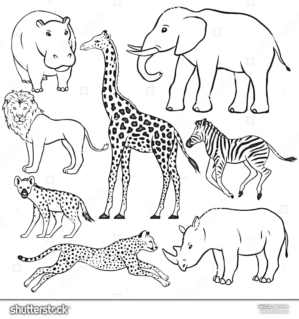 На раскраске изображено: Бегемот, Слон, Лев, Гепард, Носорог, Животные, Экзотические животные, Африканские животные