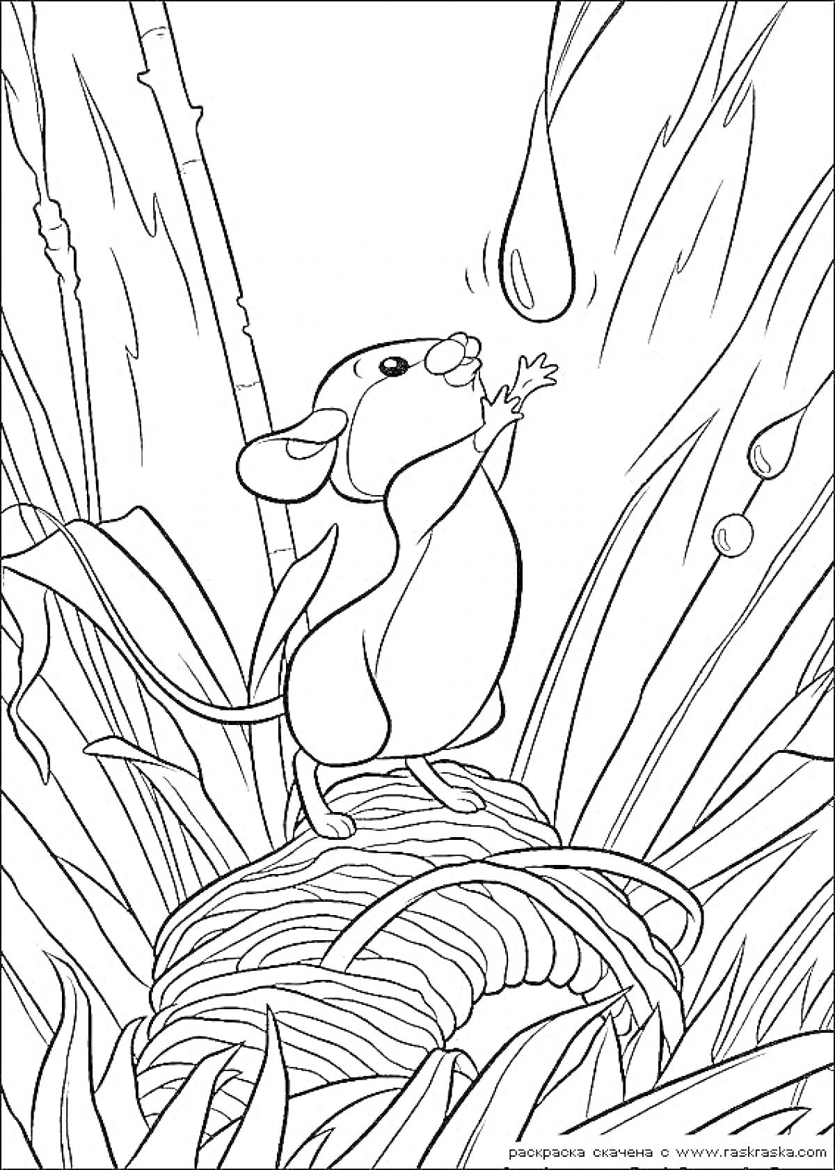 Раскраска Мышка на гнезде с вытянутыми лапками, растущие вокруг бамбук и трава, дождевые капли