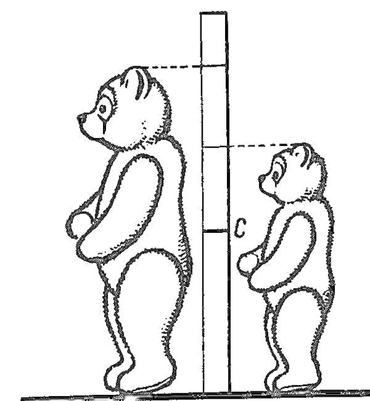 Два медведя разного роста возле шкалы