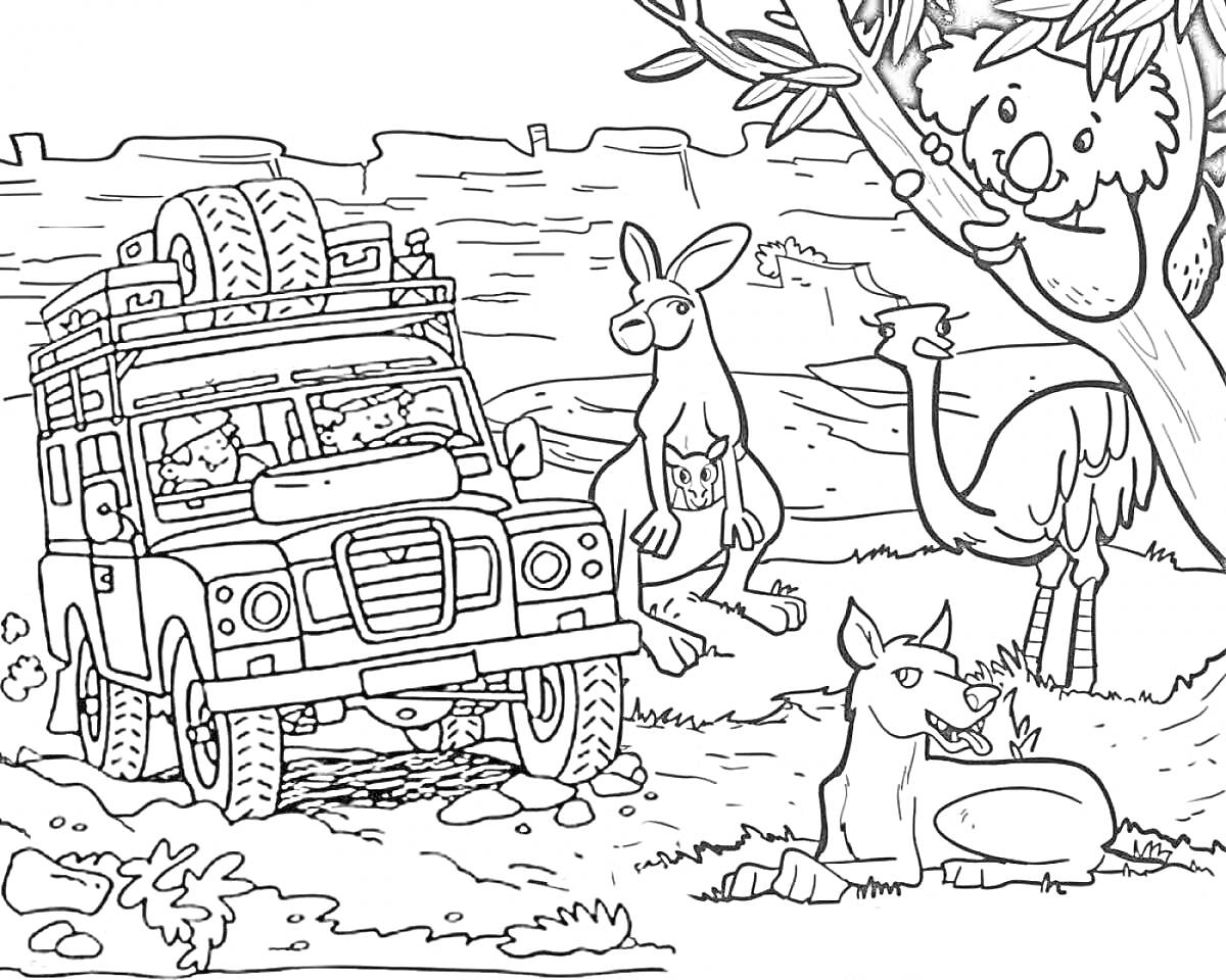 Раскраска Джип на сафари с кенгуру, страусом, коалой и собакой возле дерева