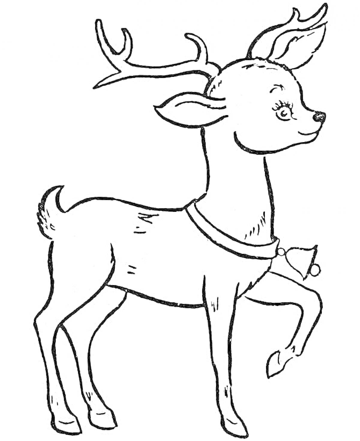 Раскраска северный олень с колокольчиком и поднятой ногой