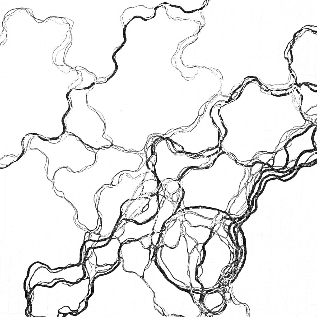 Раскраска нейрографическое искусство с переплетающимися линиями
