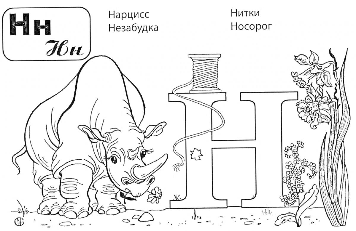 На раскраске изображено: Нитки, Носорог, Алфавит, Обучение, Русские буквы, Цветы, Для детей, Животные, Мячи, Нарциссы