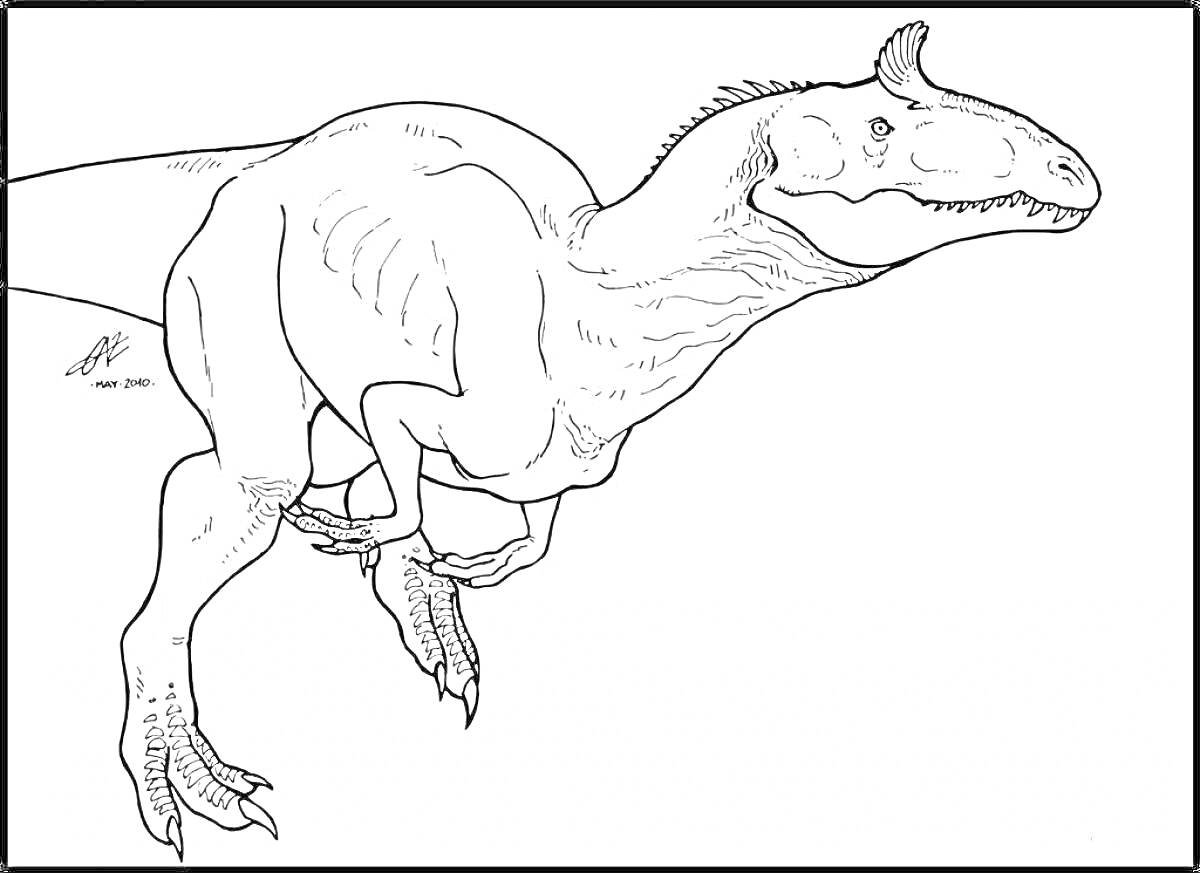 Раскраска Пахицефалозавр идет, задняя нога приподнята, выраженные когти, крупное тело, хорошо видна голова с характерным утолщением черепа