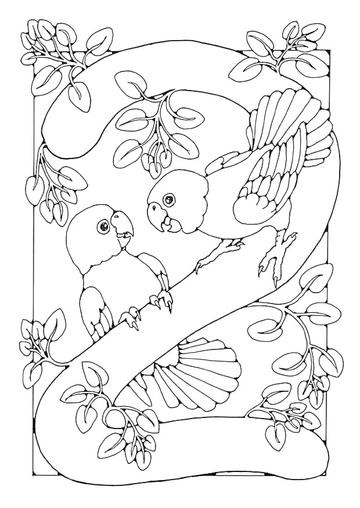 Раскраска Цифра 2 с попугаями и ветвями