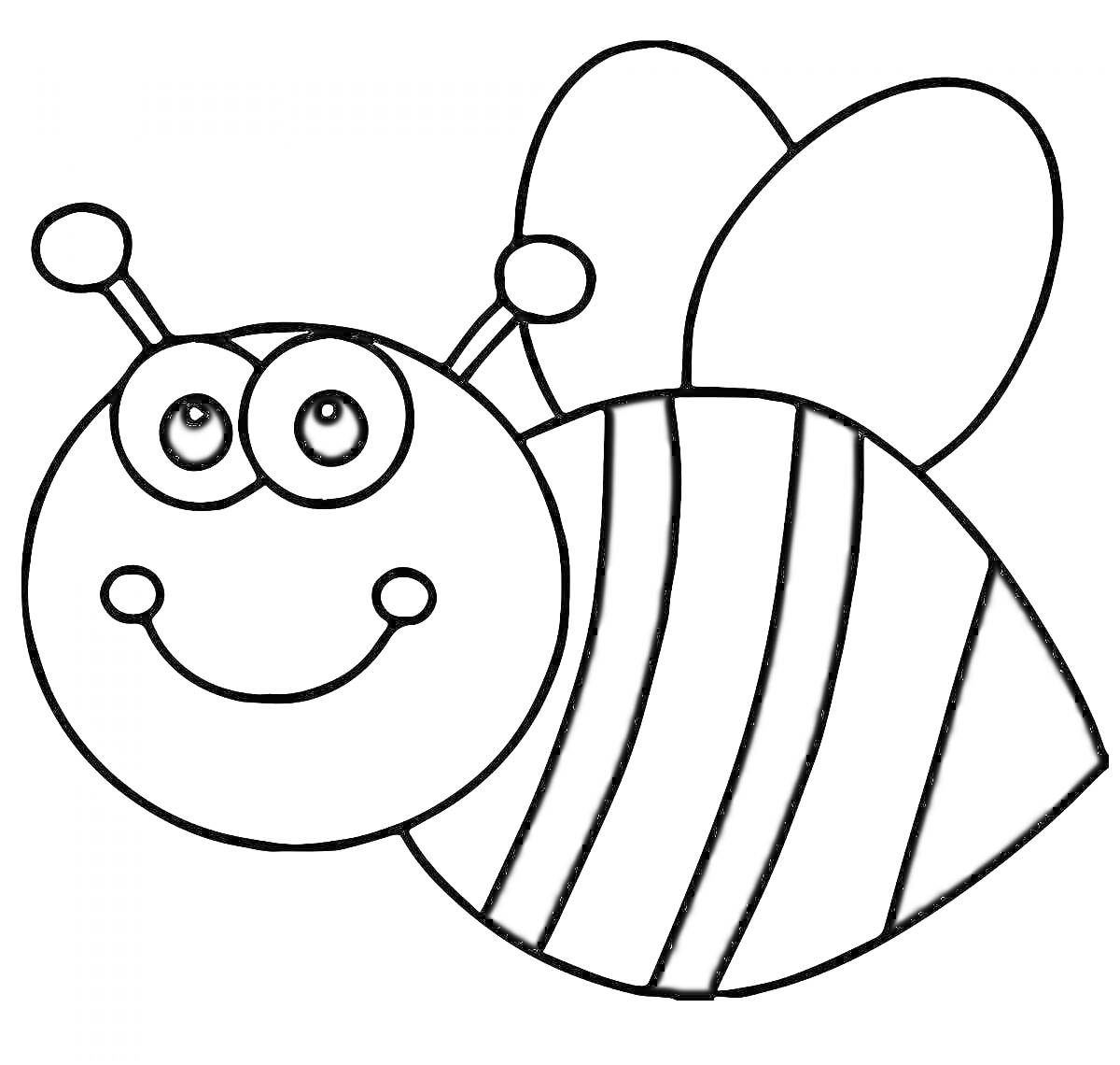 Раскраска Пчела с большими глазами, улыбкой, двумя усиками и крыльями.