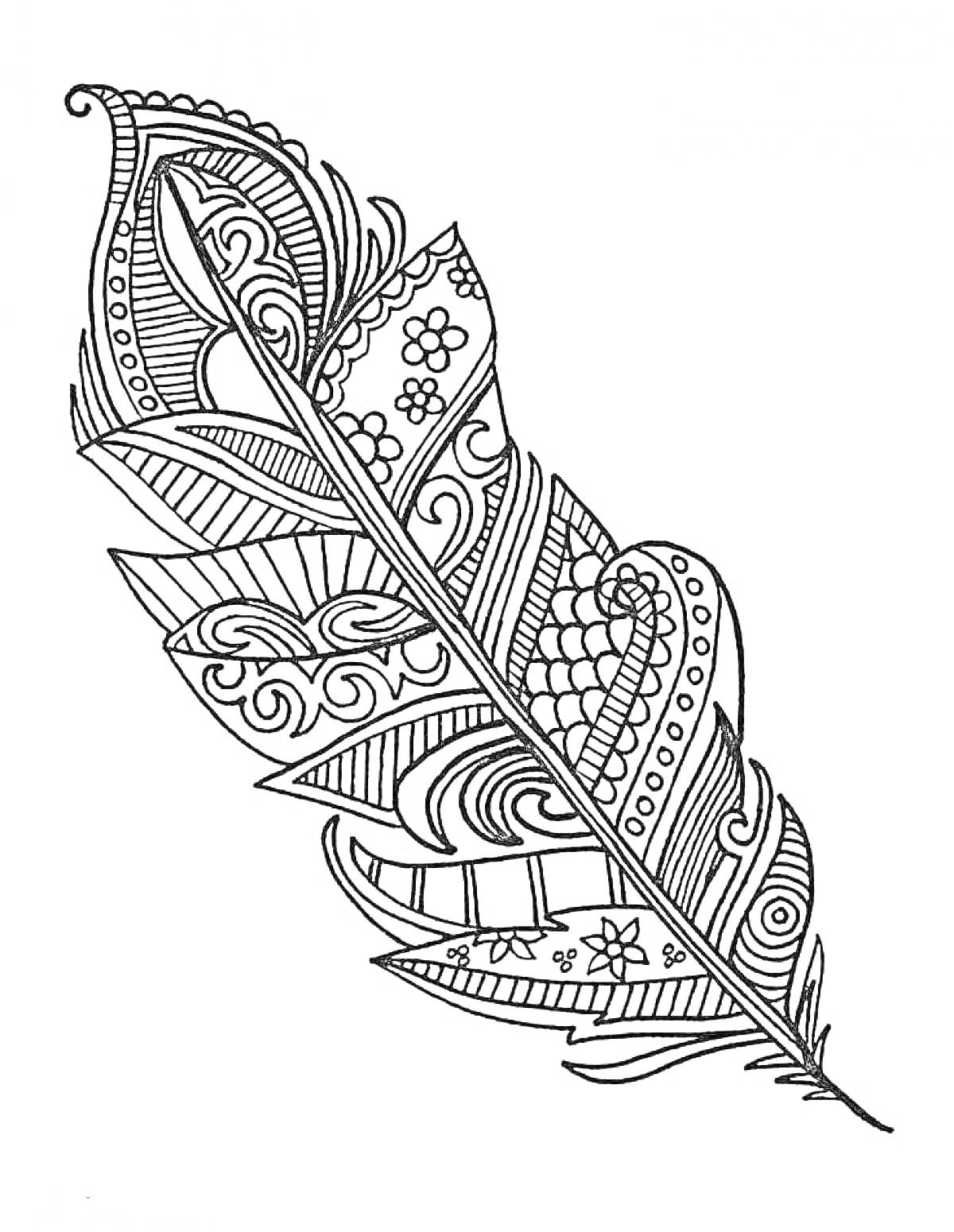 Раскраска Перо с дудлинг-узорами (листья, цветы, завитки, геометрические формы)
