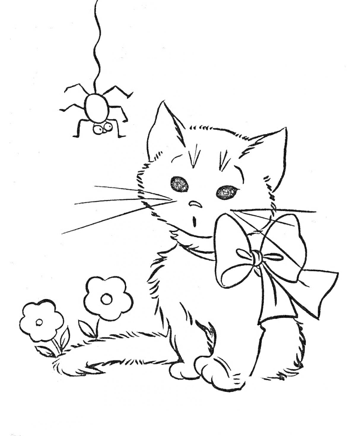 Раскраска Кошка с бантом и цветами, паучок на ниточке