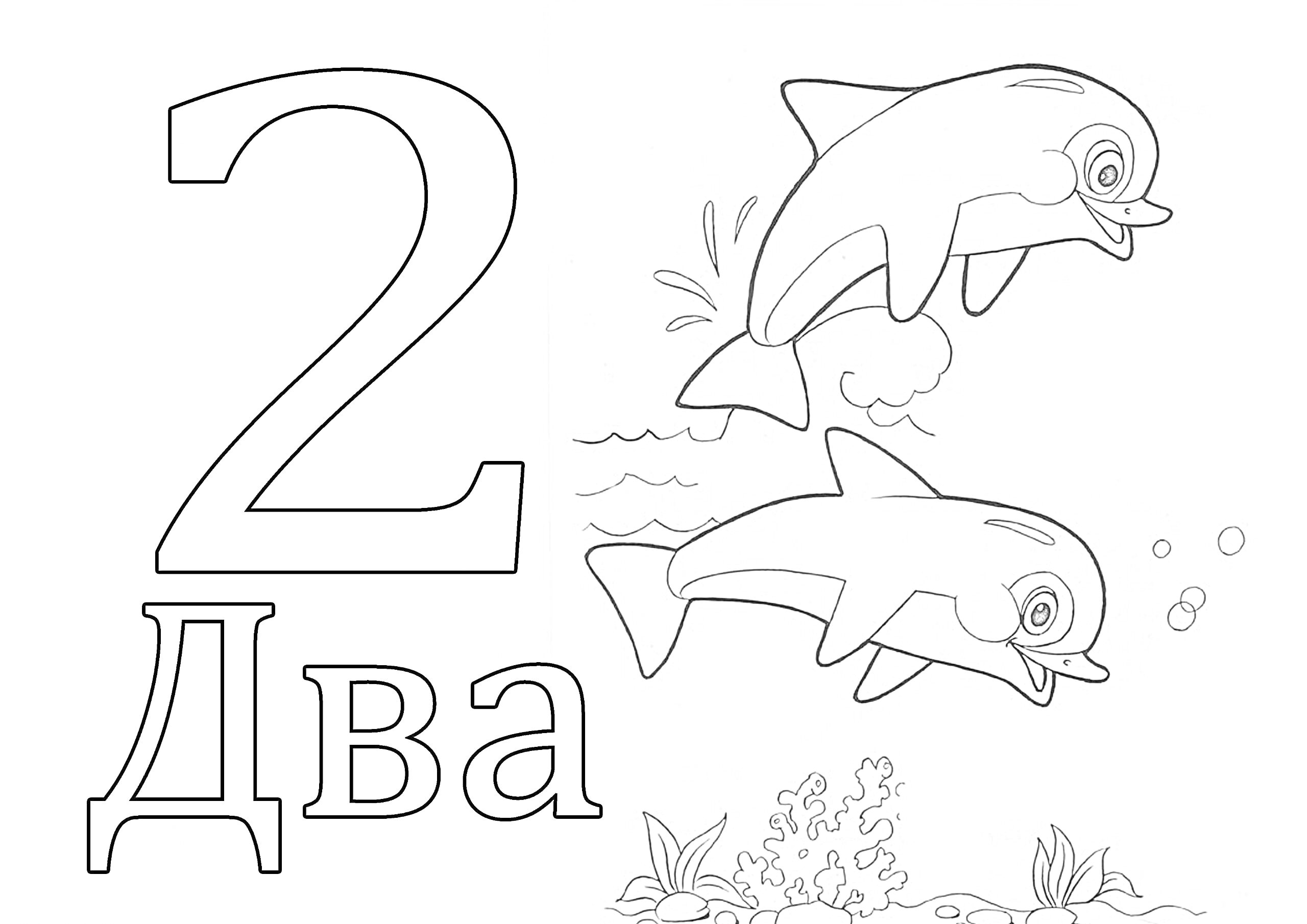На раскраске изображено: Цифра 2, Дельфины, Подводный мир, Растения