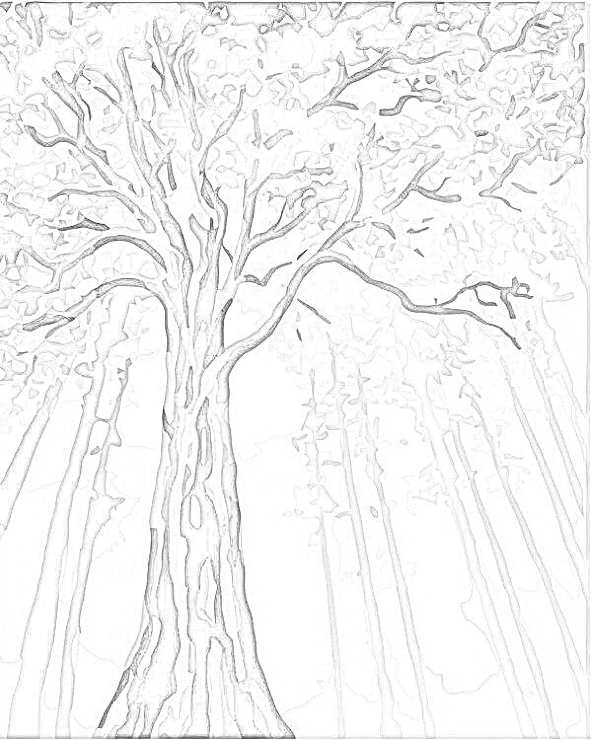 Раскраска Дерево в лесу с высокими стволами деревьев на заднем плане