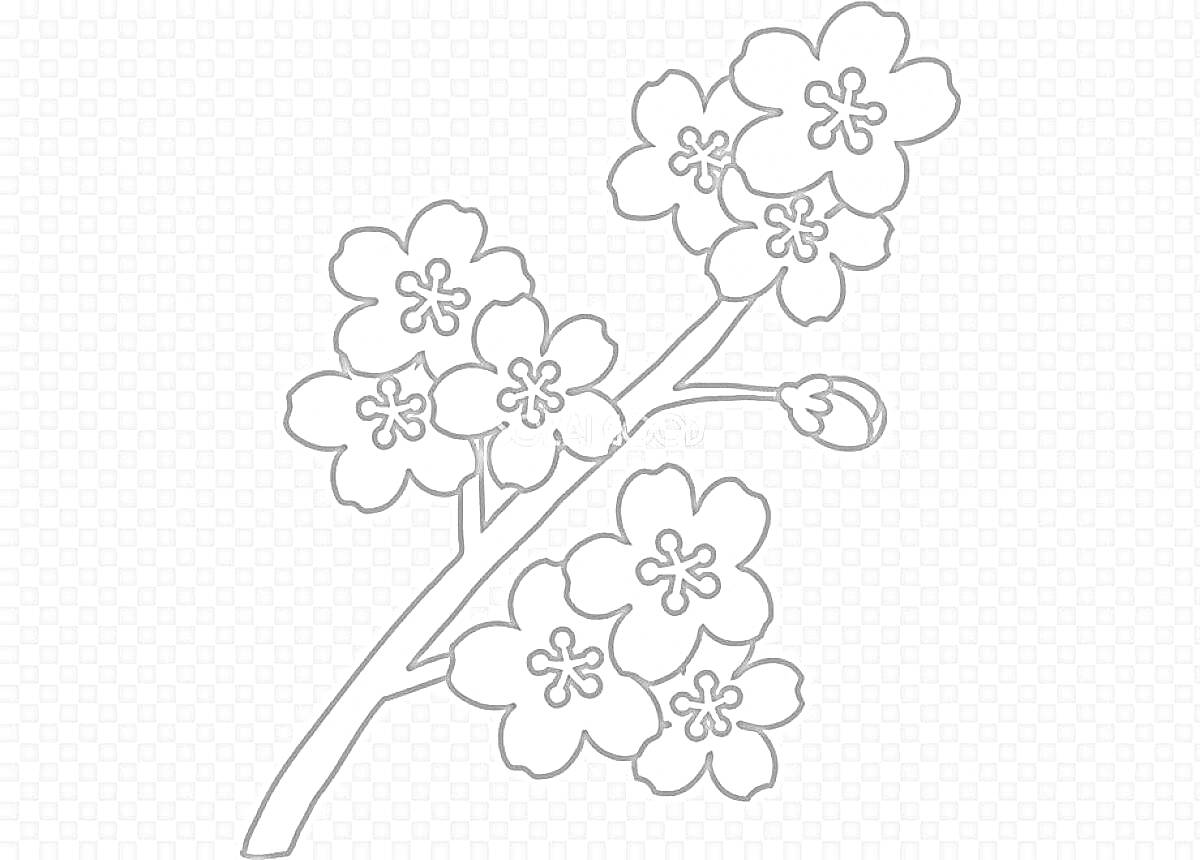 На раскраске изображено: Сакура, Цветы, Ветка, Бутон, Контурные рисунки