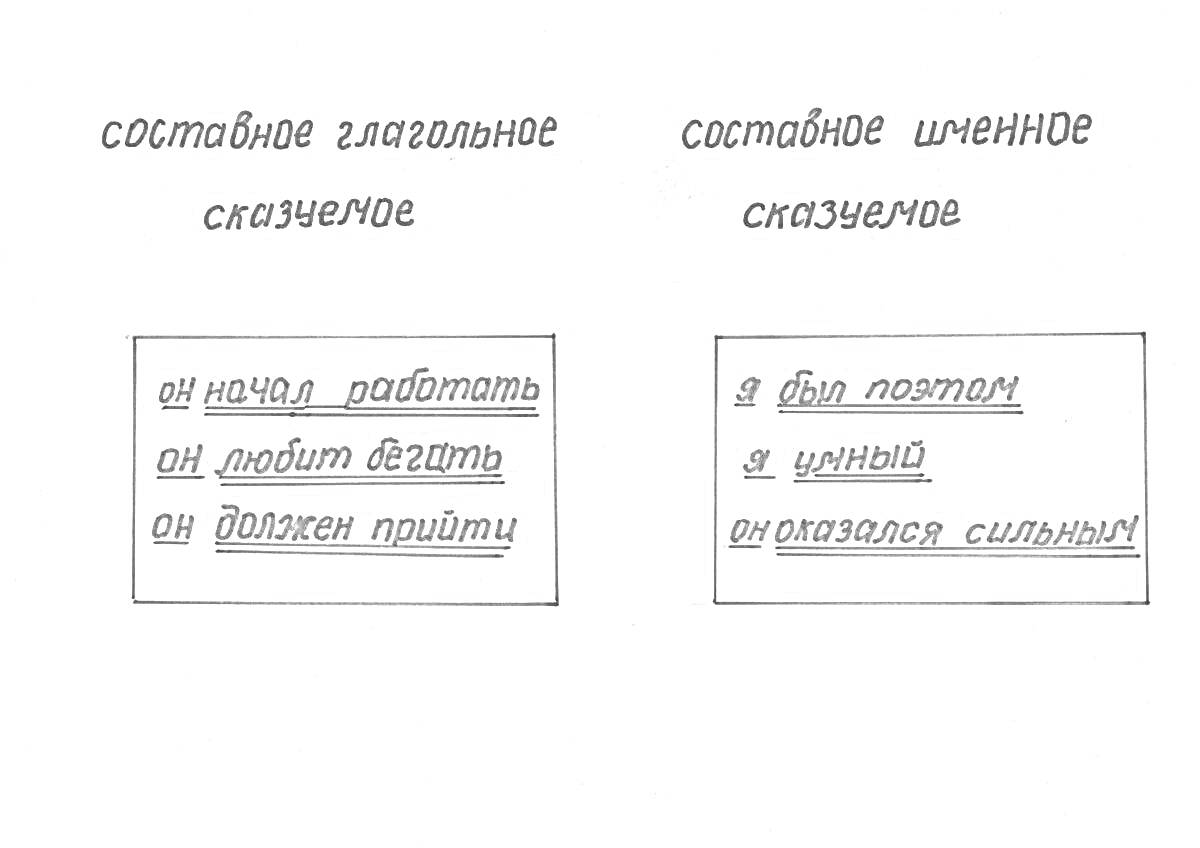 Раскраска Раскраска по теме видов сказуемого для 8 класса с примерами составного глагольного сказуемого и составного именного сказуемого