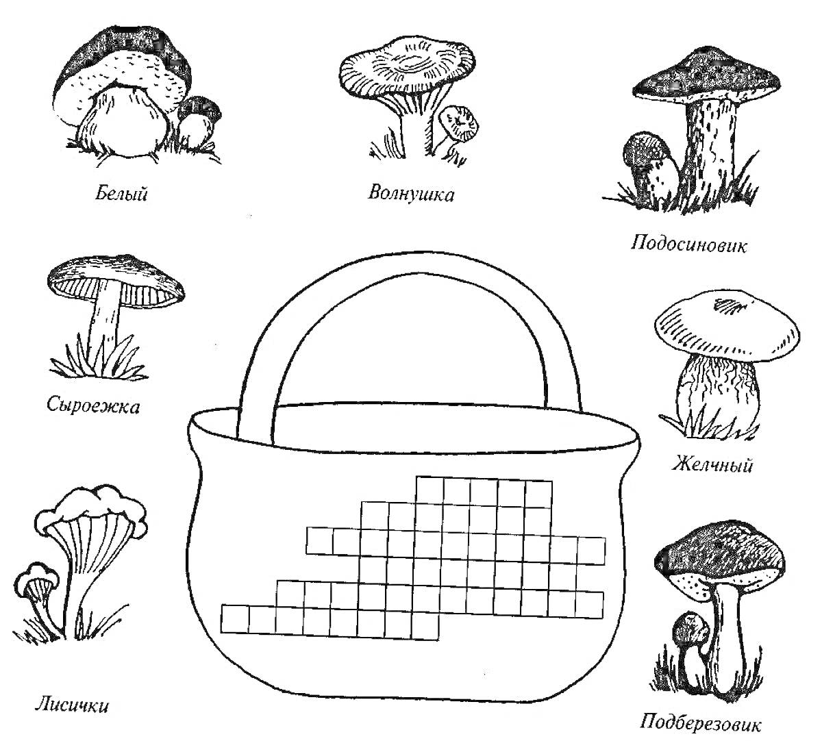 Раскраска Белый, Волнушка, Подосиновик, Сыроежка, Жёлтый, Лисичка, Подберёзовик, корзина для грибов