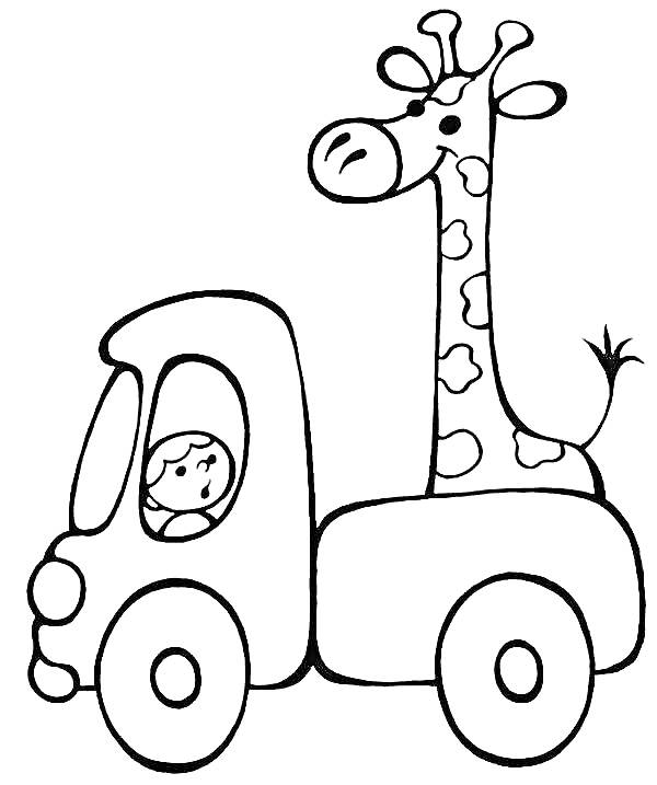 На раскраске изображено: Водитель, Для мальчиков, Животные, Грузовая машина, Жирафы, Авто