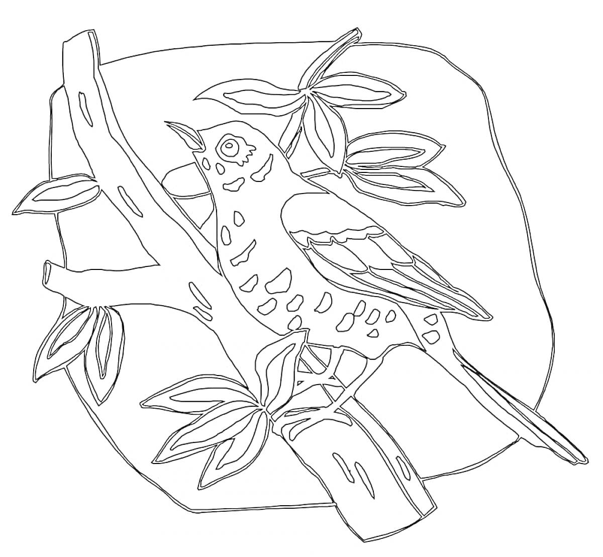 На раскраске изображено: Птица, Ветка, Листья, Природа, Контурные рисунки