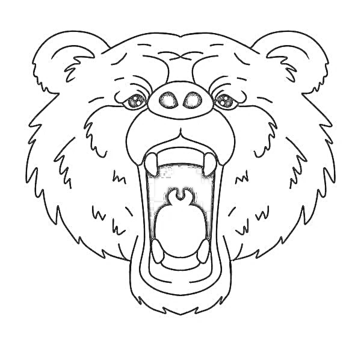 На раскраске изображено: Медведь, Голова, Пасть, Агрессивный, Природа, Дикий зверь