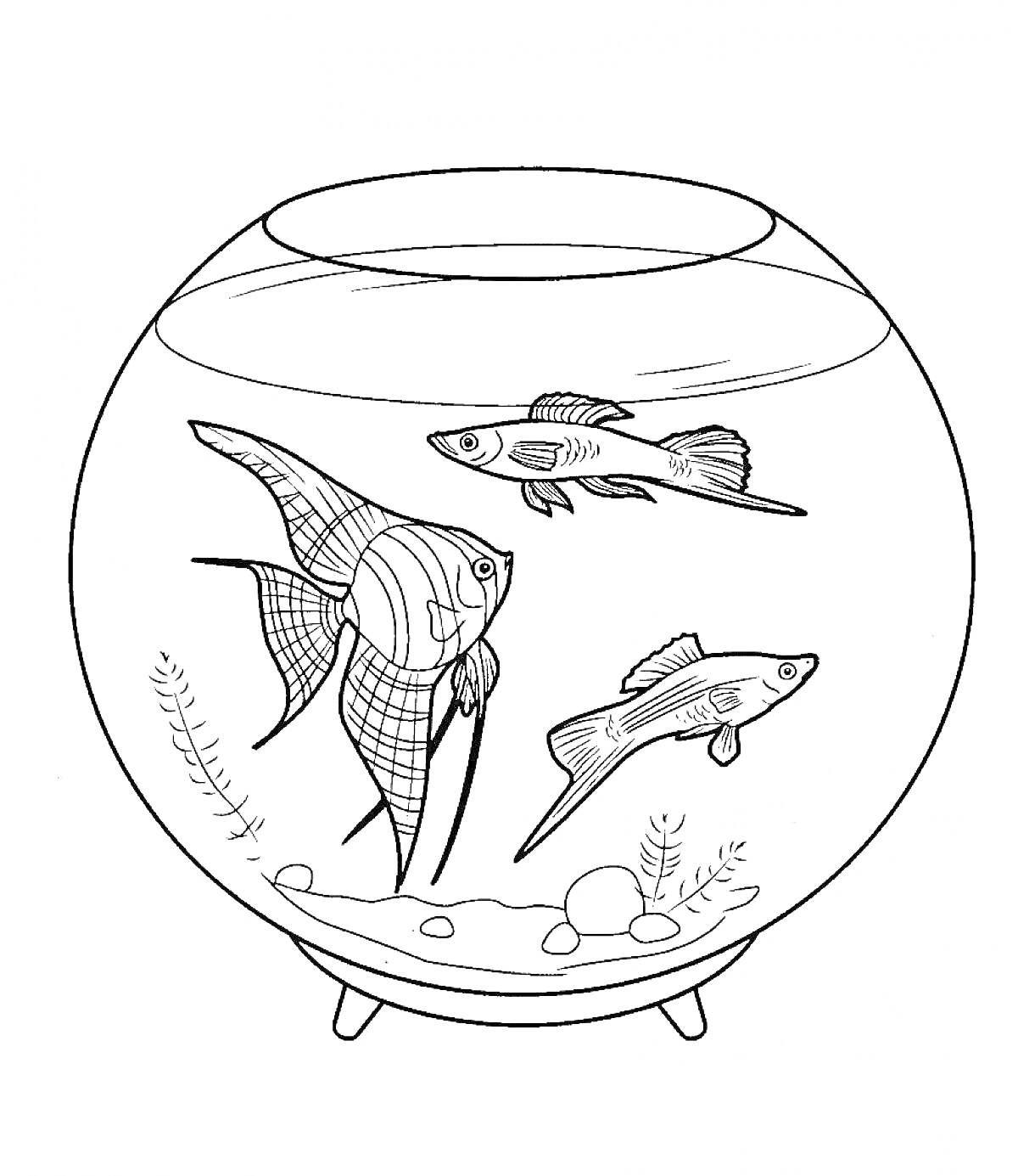 Раскраска Аквариум с рыбками и растениями