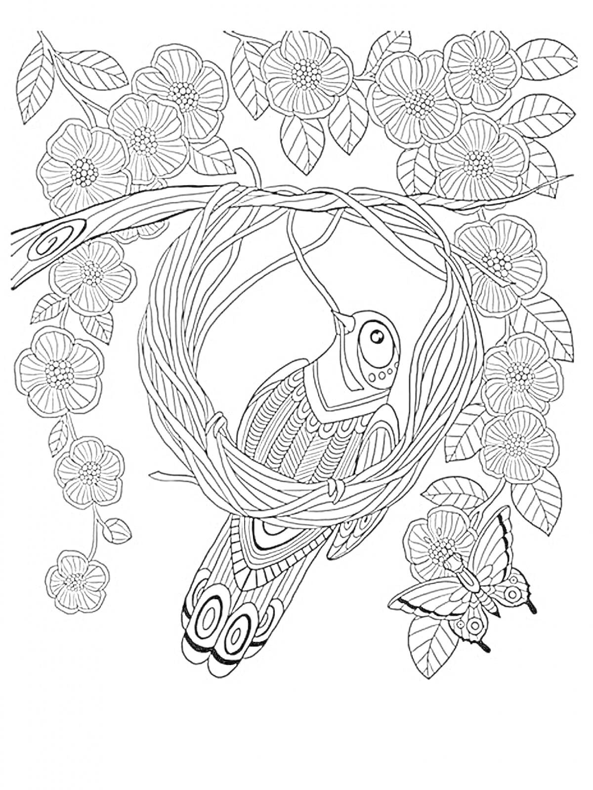 На раскраске изображено: Птица, Гнездо, Ветка, Цветы, Бабочка, Релакс