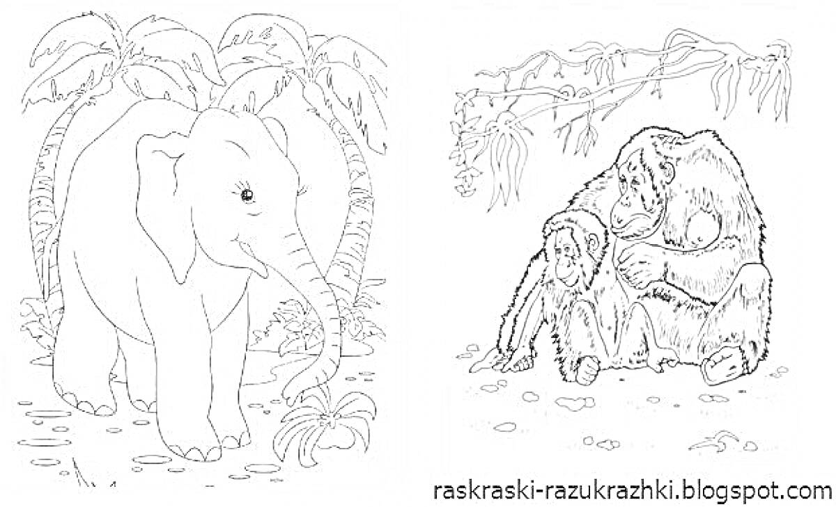 На раскраске изображено: Слон, Пальмы, Джунгли, Животные, Жаркие страны