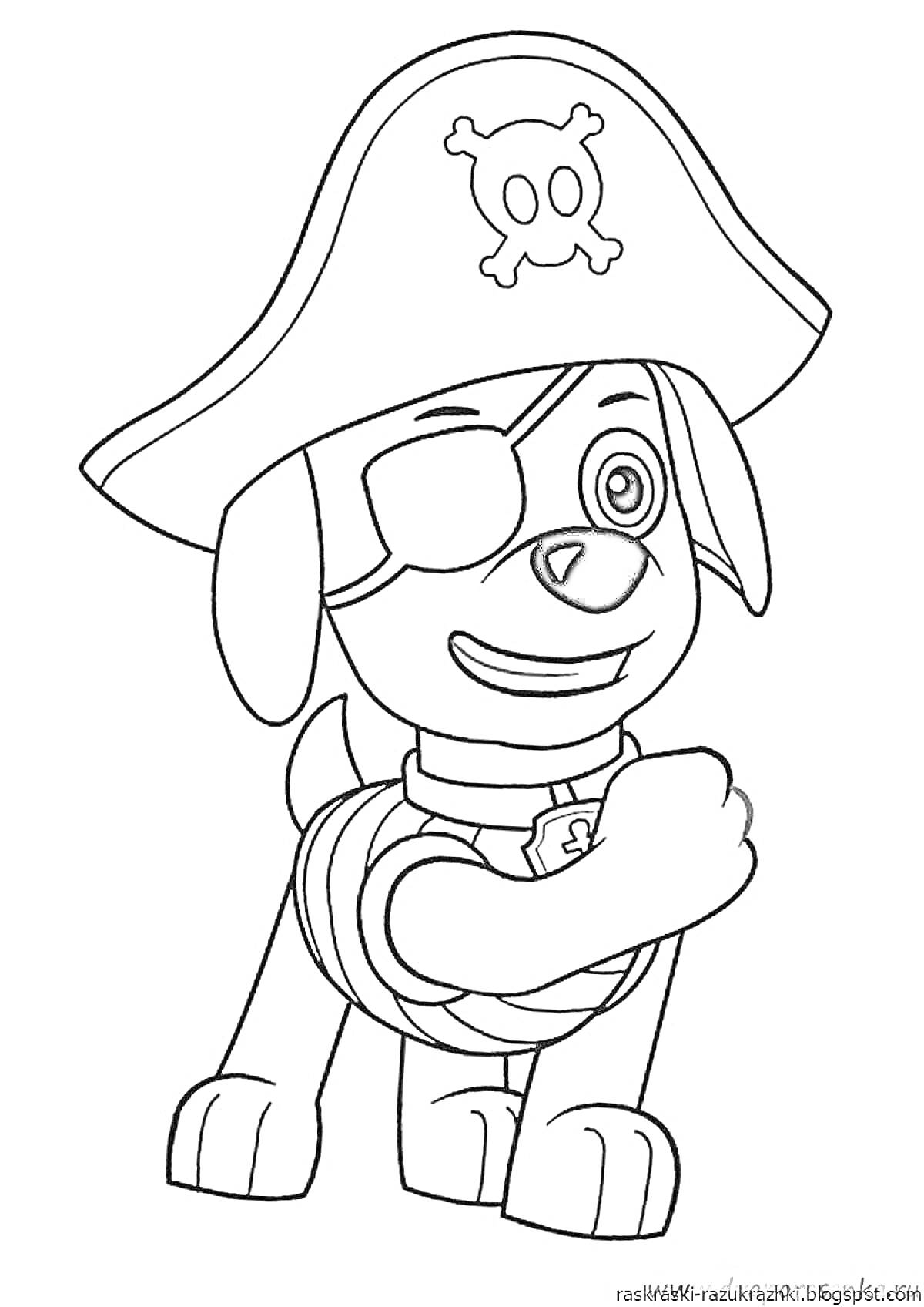 На раскраске изображено: Щенячий патруль, Зума, Пиратская шляпа
