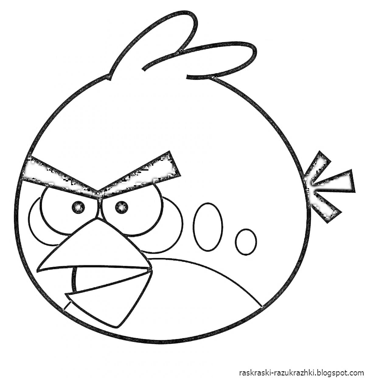 Раскраска с изображением сердитой птицы из игры Энгри Бердз, круглая птица с густыми бровями, глазами, клювом и тремя перьями на хвосте