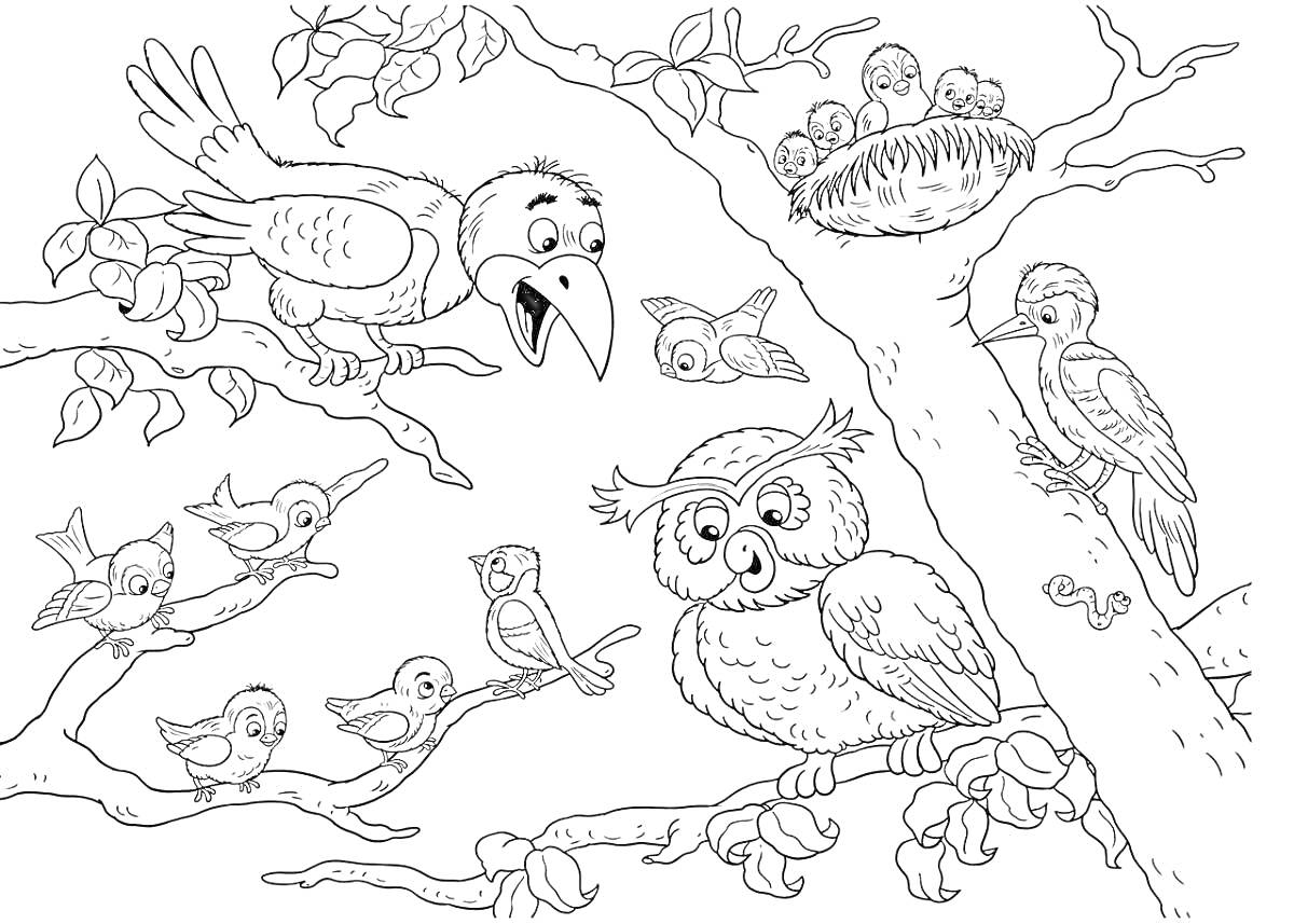 На раскраске изображено: Гнездо, Сова, Дятел, Природа