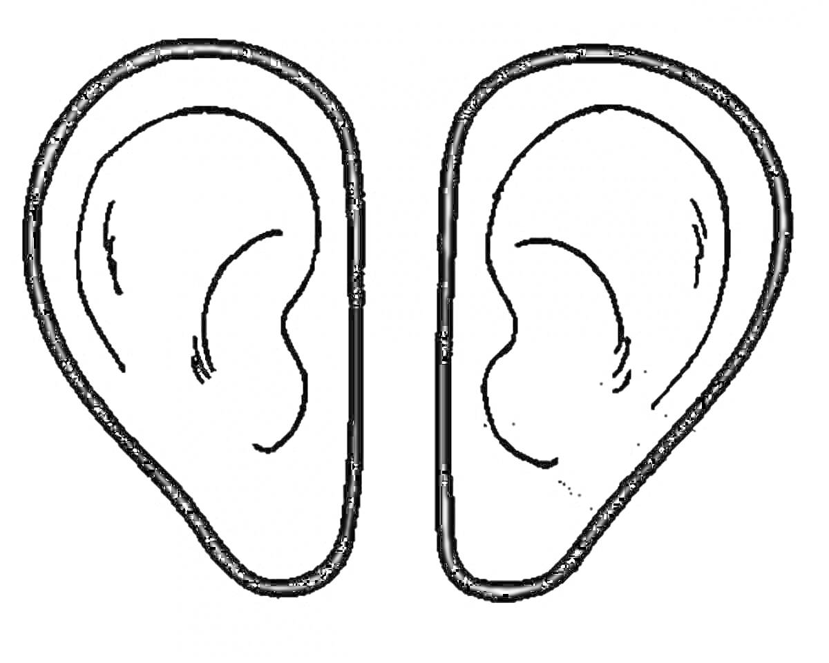 На раскраске изображено: Уши, Части тела, Изображения для раскрашивания
