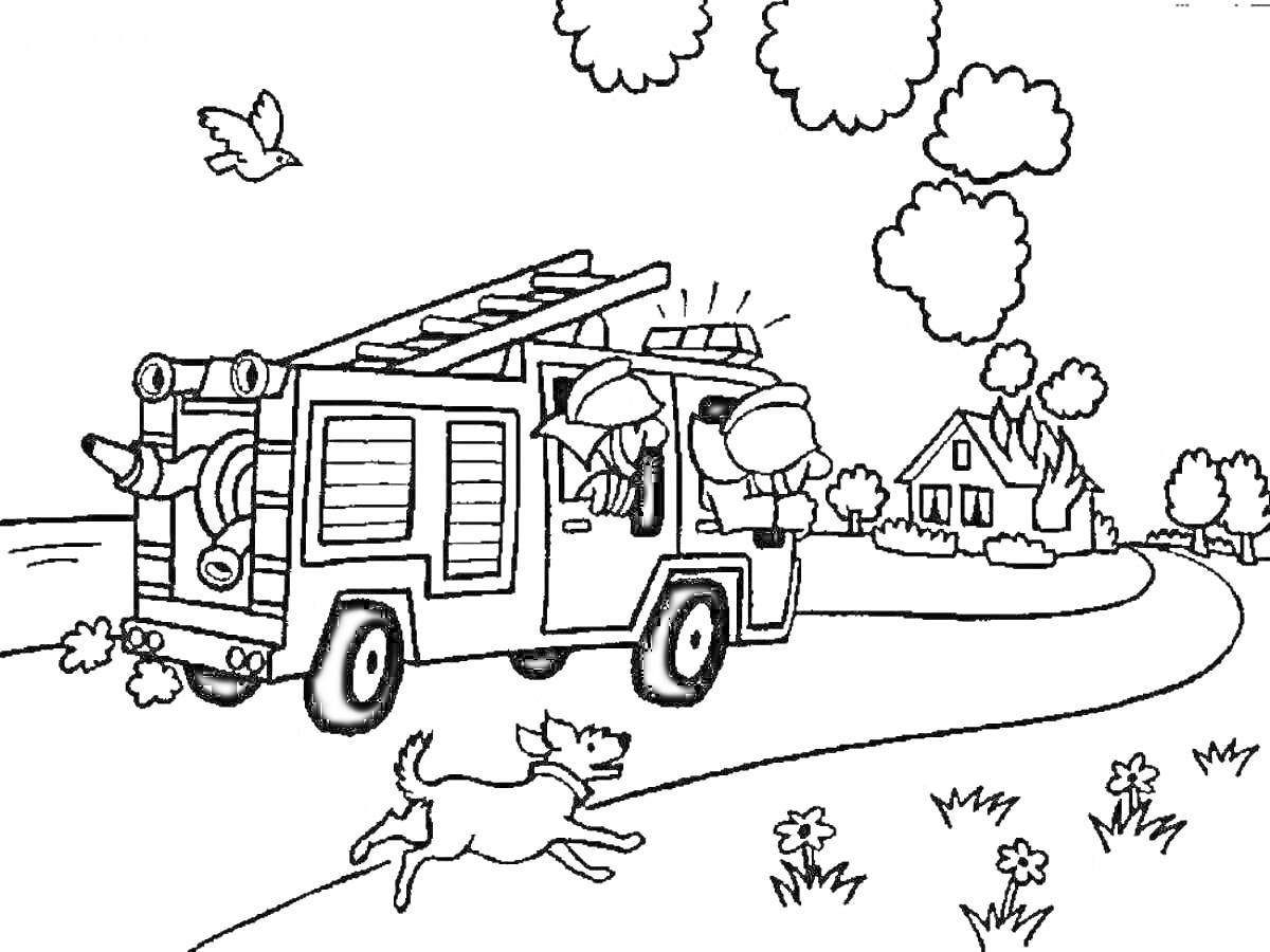 На раскраске изображено: Пожарная машина, Пожарные, Дом, Собака, Птица, Деревья, Трава, Пожар, Облака
