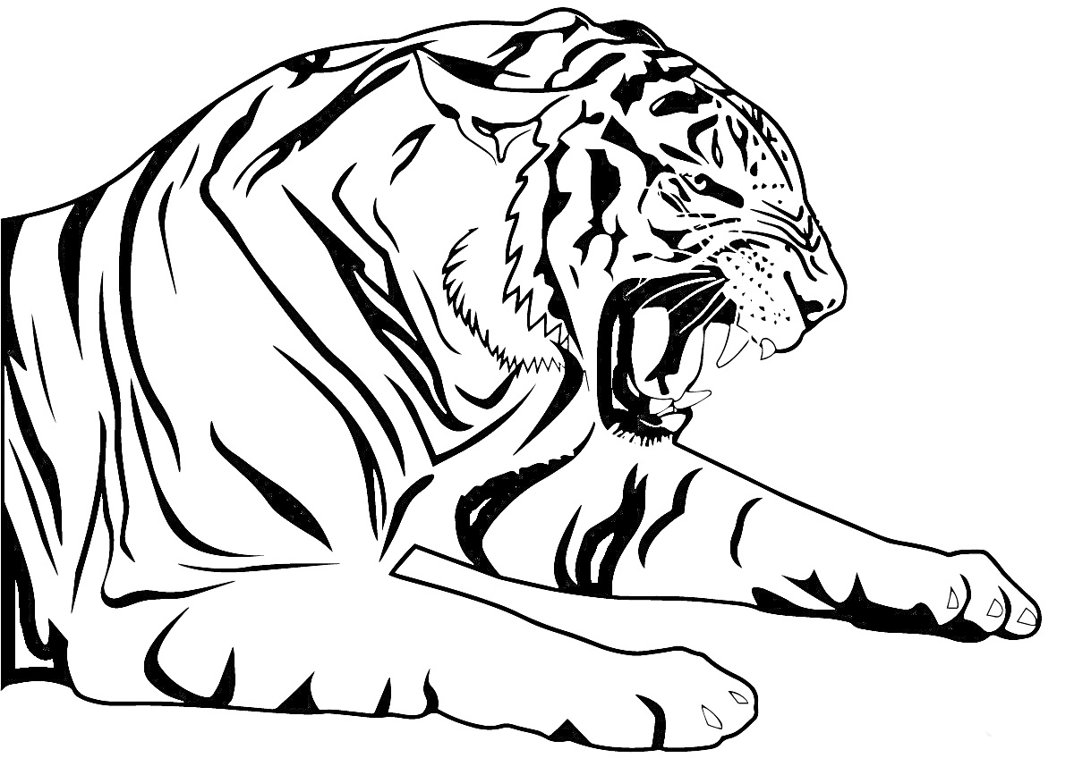 Рычящий тигр в лежачем положении с полосами на теле