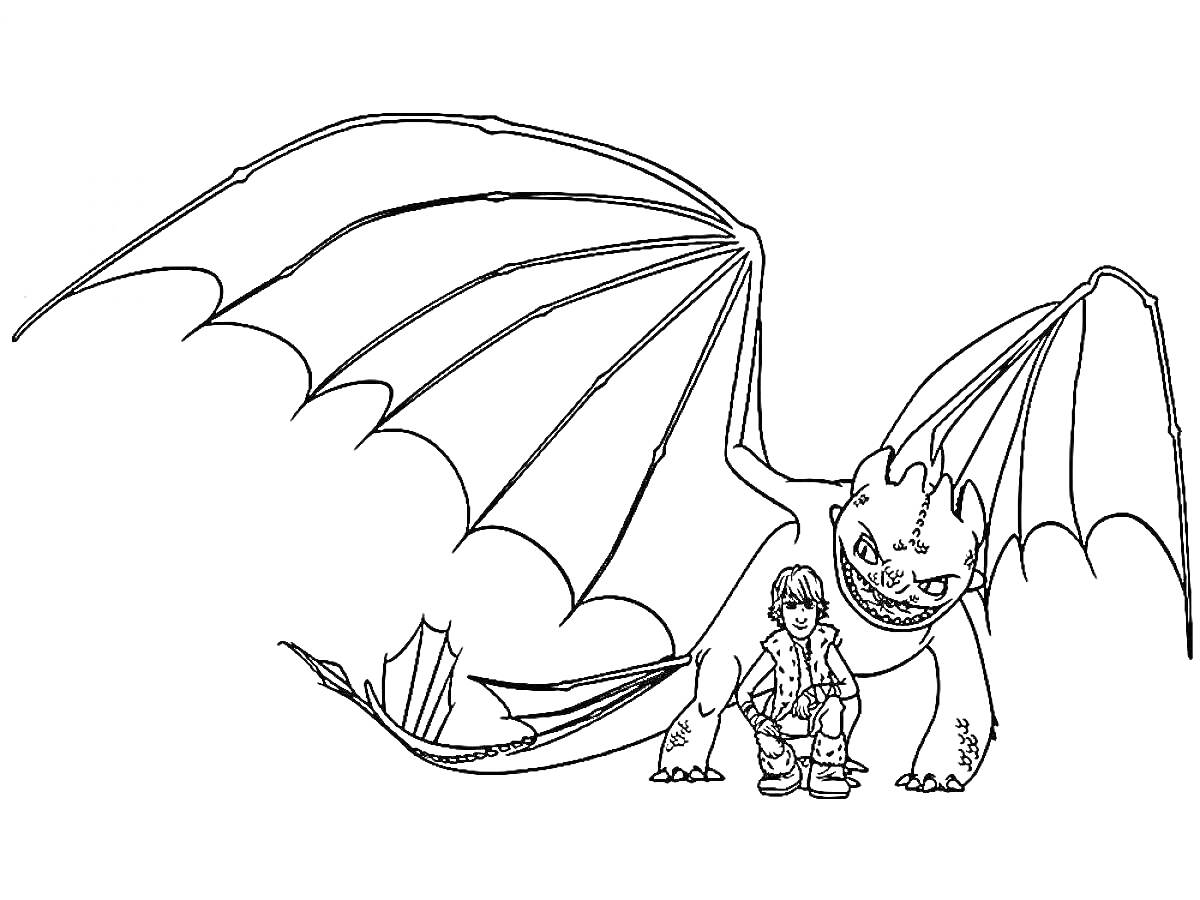Раскраска Мальчик с драконом Беззубиком