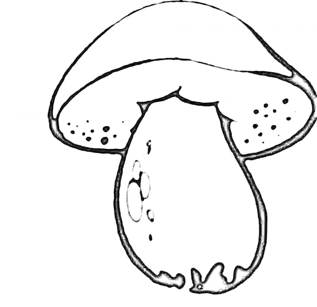 Раскраска Большой гриб с точками на шляпке и каплями на ножке