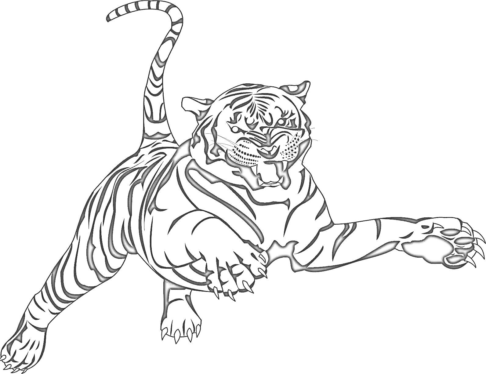 Раскраска Прыгающий тигр