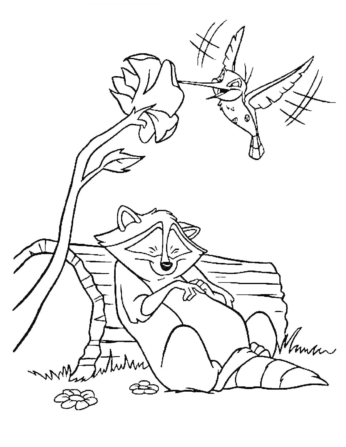 Раскраска Енот, лежащий на поленнице, колибри и цветок на стебле