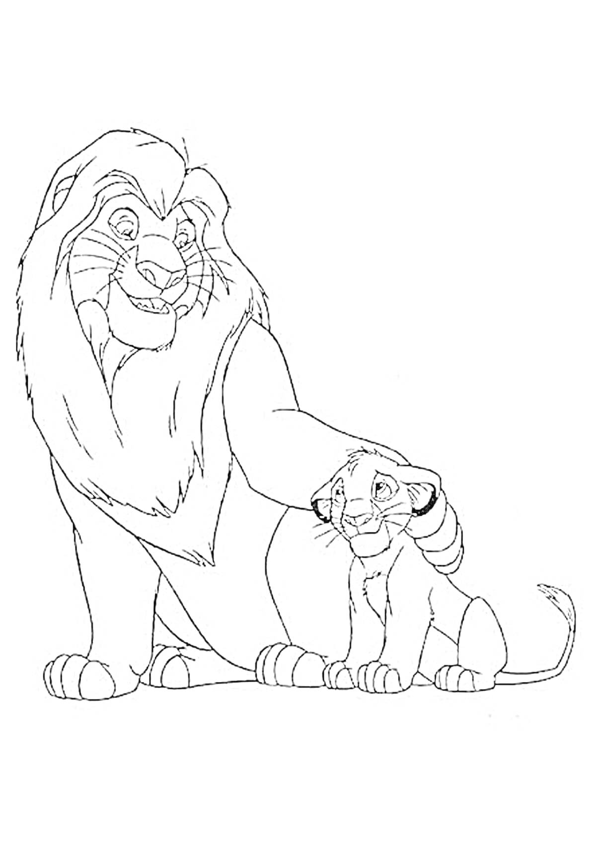 На раскраске изображено: Лев, Грива, Животные, Африка, Король лев