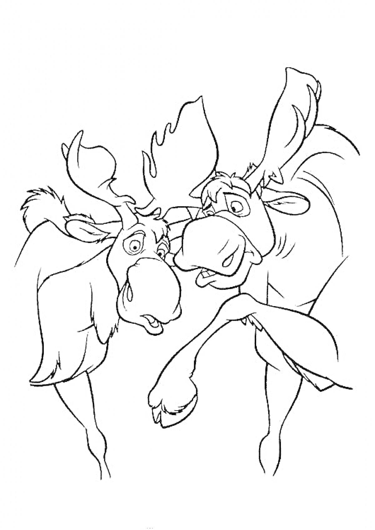 Раскраска Два лося с рогами, стоящие рядом