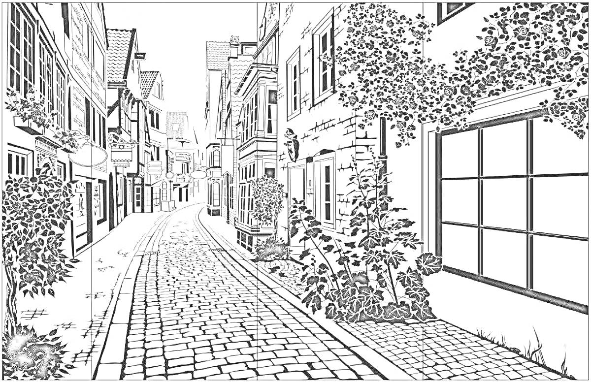 Раскраска Узкая улица с мощеной дорогой, окруженная старыми зданиями с окнами и дверьми, с растительностью на стенах