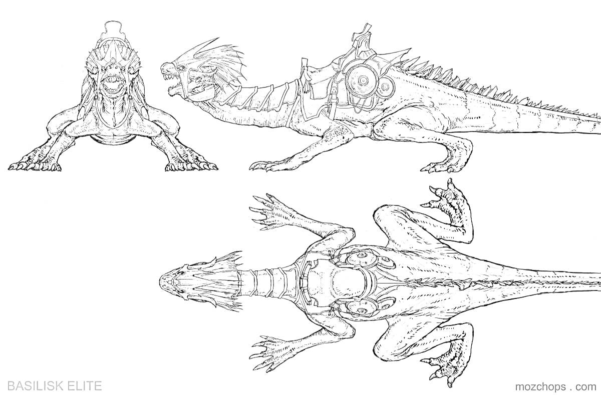 Раскраска Василиск с седлом и доспехами, вид спереди, сбоку и сверху