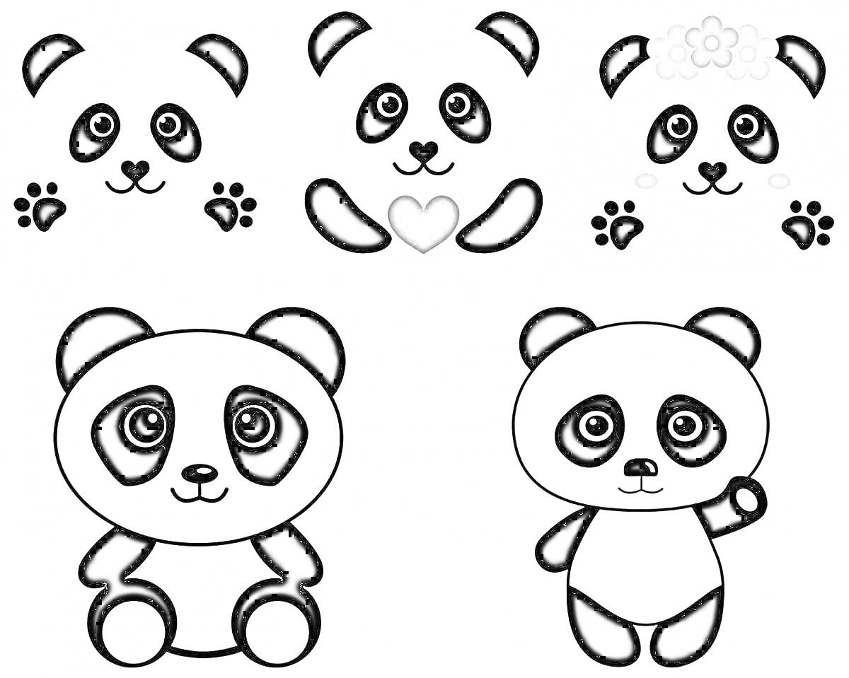 Раскраска Пять рисунков панды с различными элементами, включая сердечко, цветы и вариации поз
