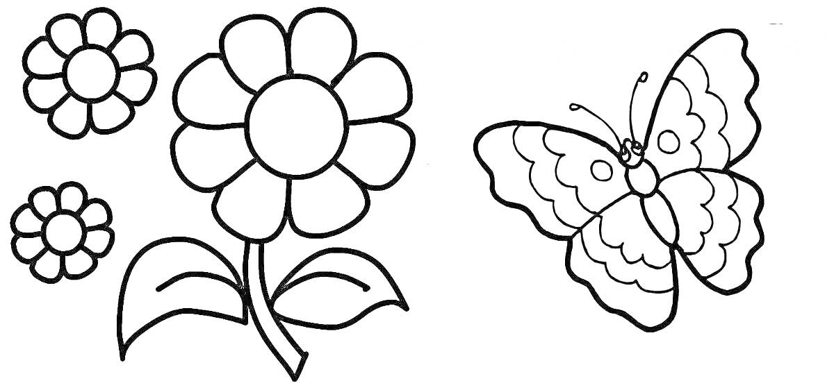 Раскраска три цветка и бабочка