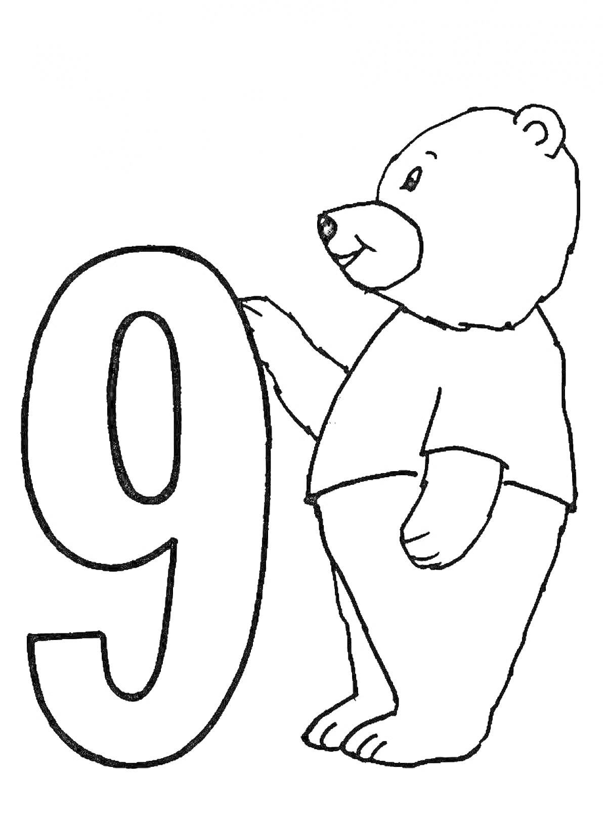 На раскраске изображено: Цифра 9, Медведь, Цифры, Животные