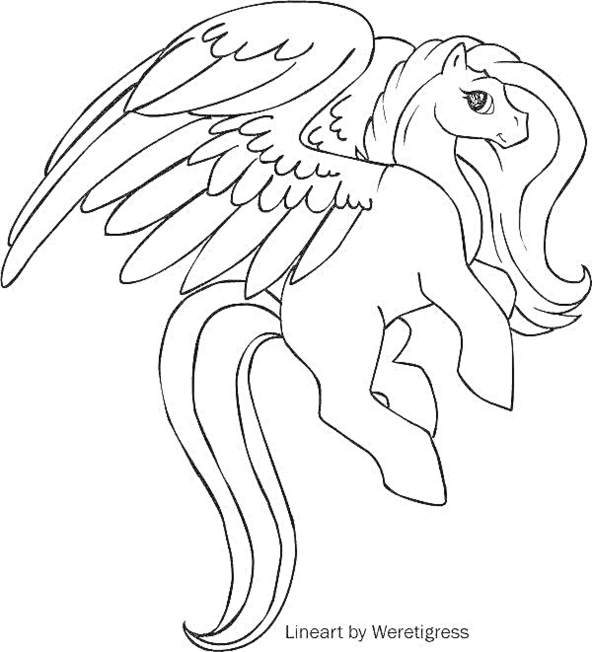 Раскраска Пони с крыльями, скачущий в воздухе