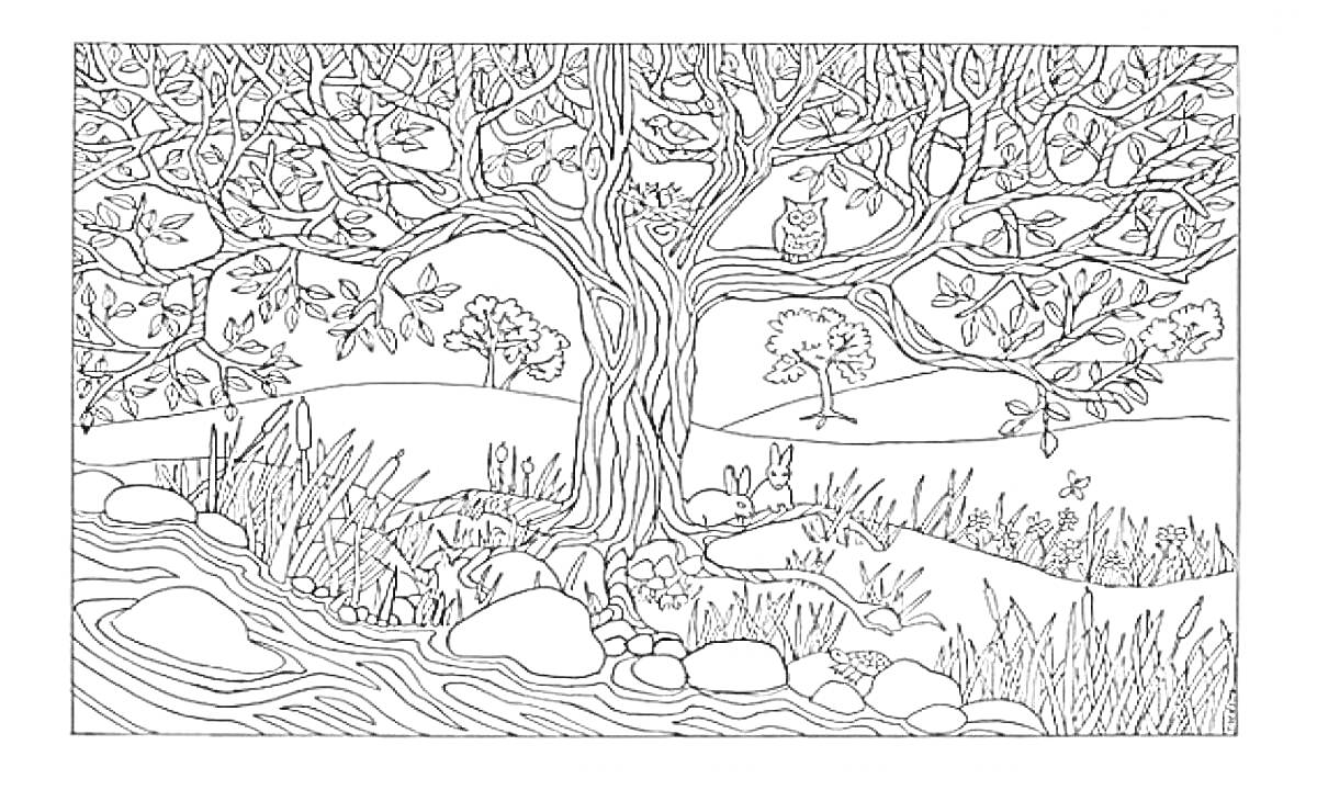 Раскраска Большое дерево у реки с совой, кроликом и бабочкой