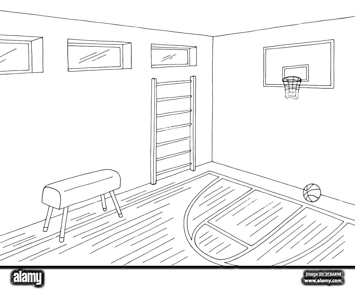 Спортзал с баскетбольным кольцом, мячом, шведской стенкой и гимнастическим конём