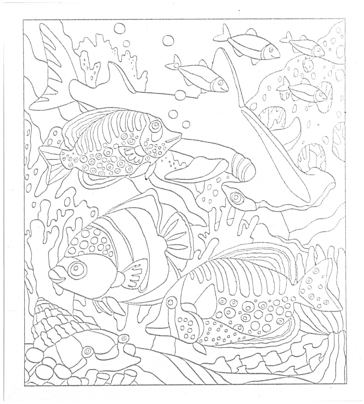 На раскраске изображено: Подводный мир, Кораллы, Водоросли, Море, Природа, Морская жизнь