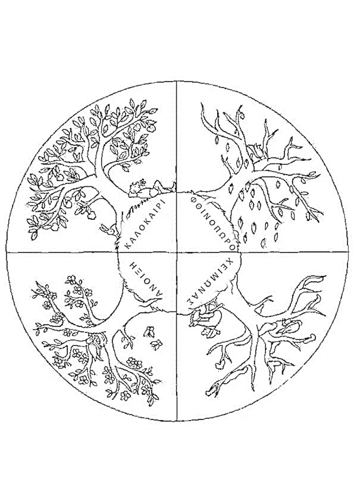 На раскраске изображено: Времена года, Лето, Осень, Зима, Весна, 1 класс