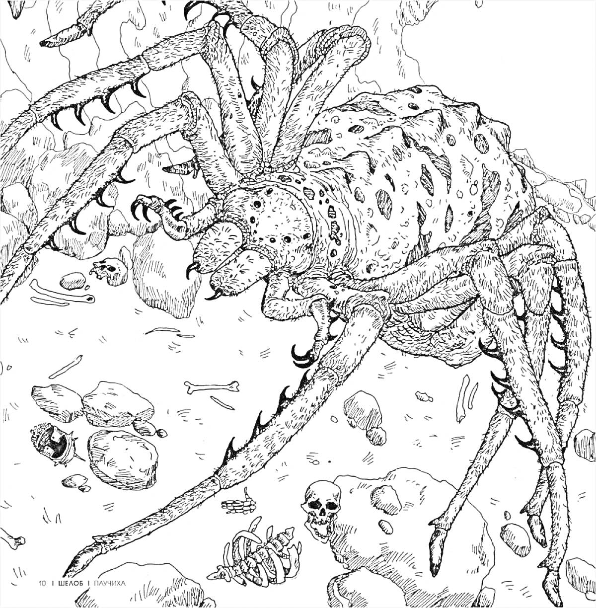 Раскраска Гигантский паук в окружении костей и камней
